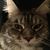 Sandi Blahnik's profile image