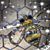 Shelley Maston's profile image