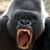 Joe Costello's profile image