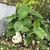 Sharon Ellis Farrar's profile image