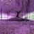 Jeanie Kunz's profile image