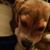 Rosie Vargas's profile image