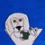 Ann Thorpe Stotler's profile image