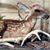 Scott Geier's profile image