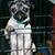 Frederick K. Ruch's profile image