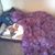 Donna M Freeland's profile image