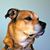 John H. Kruse's profile image
