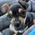 Crystal Flores's profile image