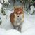 Sandra Marie's profile image