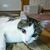 Brenda Ealy's profile image