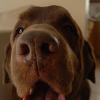 Andrew Miller's profile image