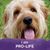 Debbie Stinnett's profile image