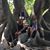 Luc van der Geest's profile image