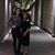 Kitty Donatsch's profile image