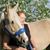 Juanene Kivett Johnson's profile image