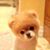 Maria De Jesus Flores's profile image