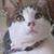Gillian Herdman's profile image
