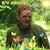 Ed Haumann's profile image