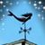 Diane Tufts's profile image