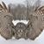 Bob McCorkle's profile image