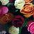 Tina Whiteway's profile image