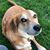 Sharon Palmer's profile image