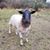 Brian Clark's profile image