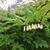 Phyllis Rither's profile image