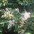 Leslie Lunsford's profile image