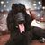 Melissa McCusker's profile image