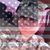 Stephanie Willard Seaburg's profile image