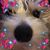 Nancy Fracasse's profile image