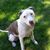 Monica Myrseth's profile image