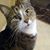 Marcy Lights's profile image