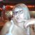 Andrea Lujan's profile image
