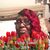 Yvonne Adams's profile image