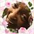 Adrian N Thompson's profile image