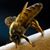 Luz Gutierrez's profile image