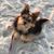 Jinny Dodson's profile image