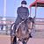 Barbara Nefstead's profile image