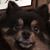Dawn Gideon Picard's profile image