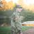 Kim Powell's profile image
