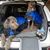 Linda Keeble's profile image
