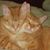 Christine Jory's profile image