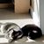 Melanie Seligman Key's profile image