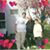 Louella DeLong Pettit's profile image