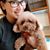Angie Lee's profile image
