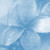 Mary G.'s profile image