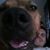 Jason Harrington's profile image