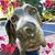 David Stein's profile image